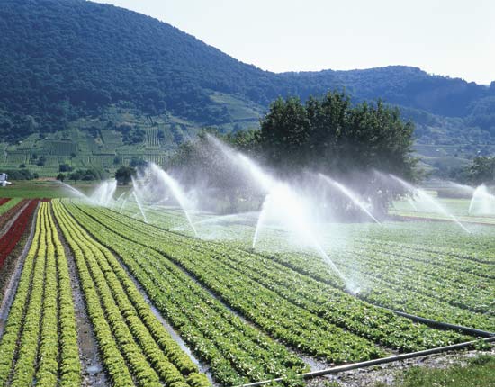  irrigating system