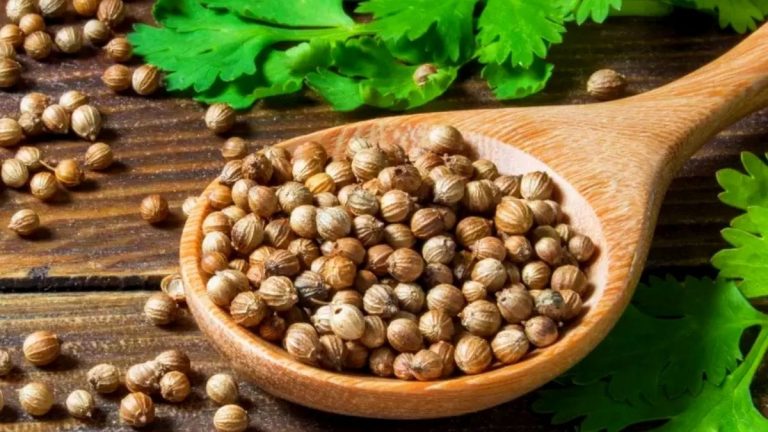 Healthy Benefits Of Coriander Leaves