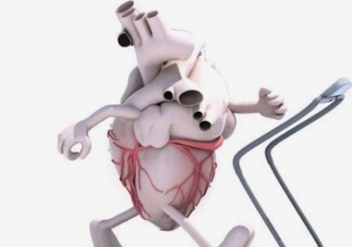 Improve Blood Pressure and Cholesterol