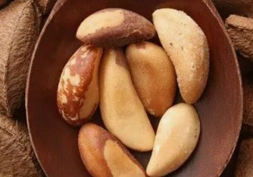 Brazil Nuts in wood spoon