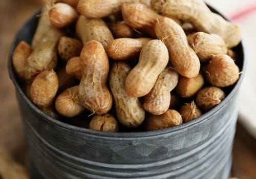 peanuts Nut