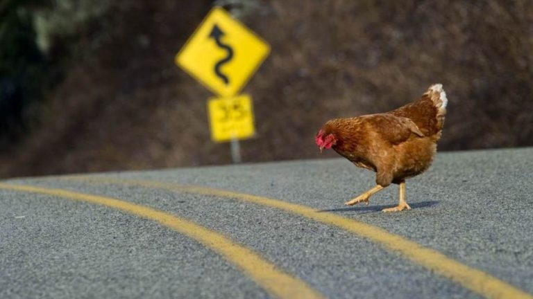 12 Weird laws in the world You Should Know About