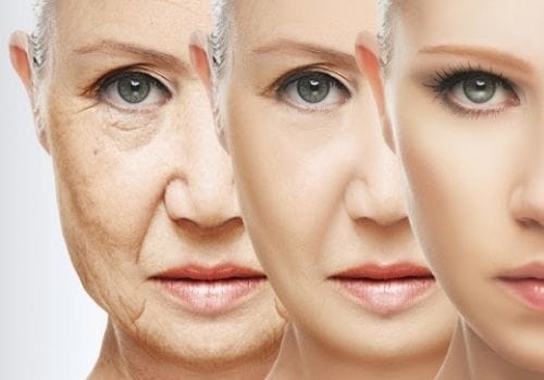 Anti-Ageing Qualities