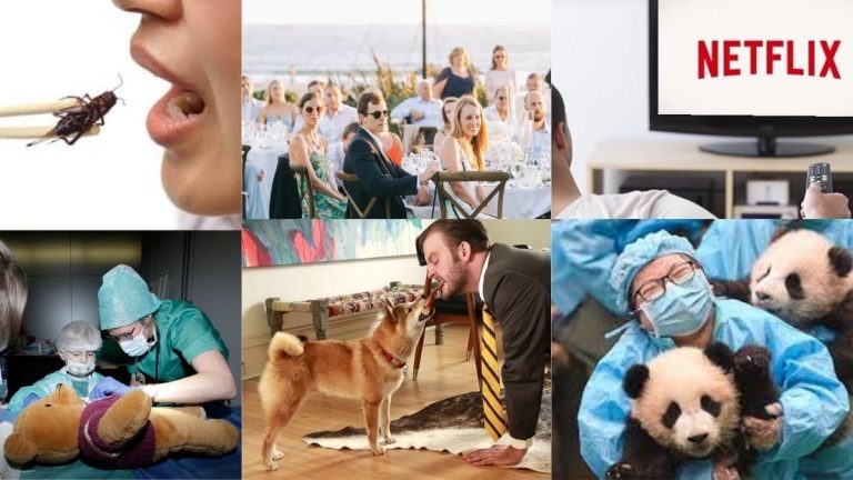 12 Craziest Jobs In The World That Actually Exist