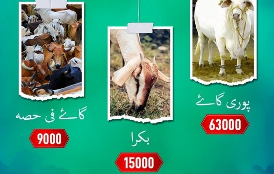 Edhi Foundation Eid Ul Adha 2021