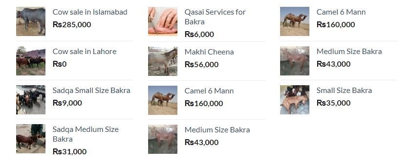 Qurbani Market