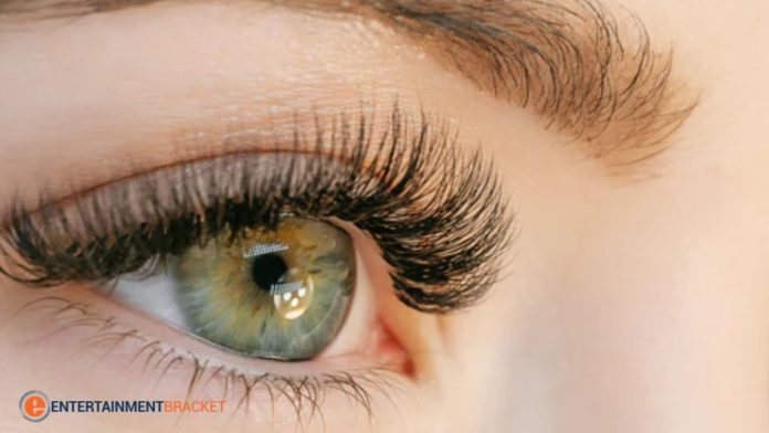 Hybrid Eyelash Extensions What It Is and How to Maintain It