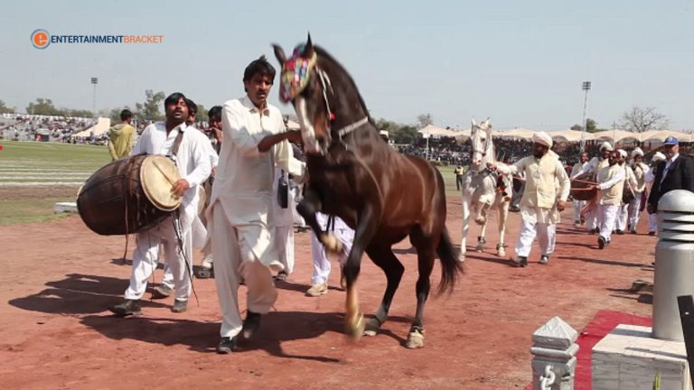 National Horse and Cattle Show 2023 Events, Schedule & Entry Passes