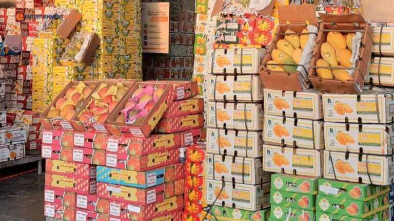 Pakistani Mangoes Set To Arrive This Month In UAE